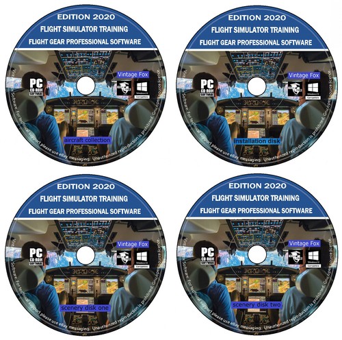 Flight simulator 2020 - 2020, pilot